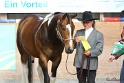 23-APHA SS_070